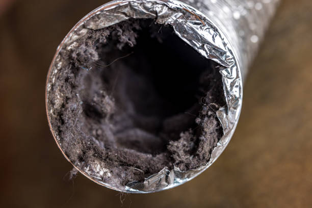 Best Affordable HVAC Duct Cleaning  in Exandria, AL